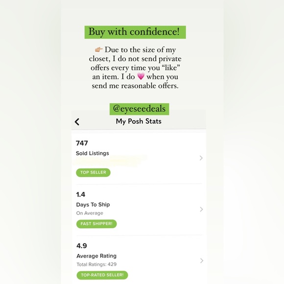 Cinema Projector Mount - Picture 4 of 6